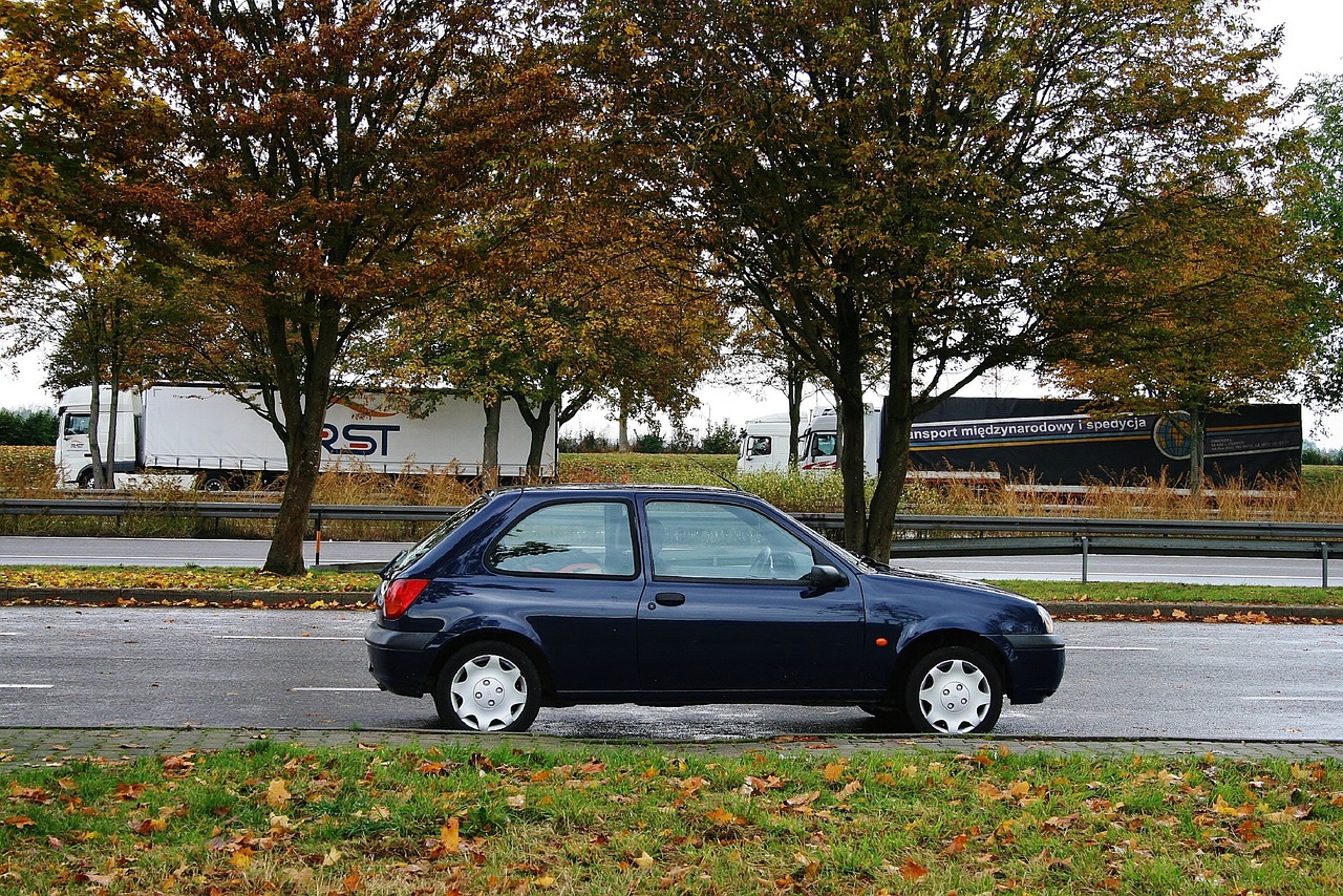 Ford Fiesta I Gebrauchtwagen