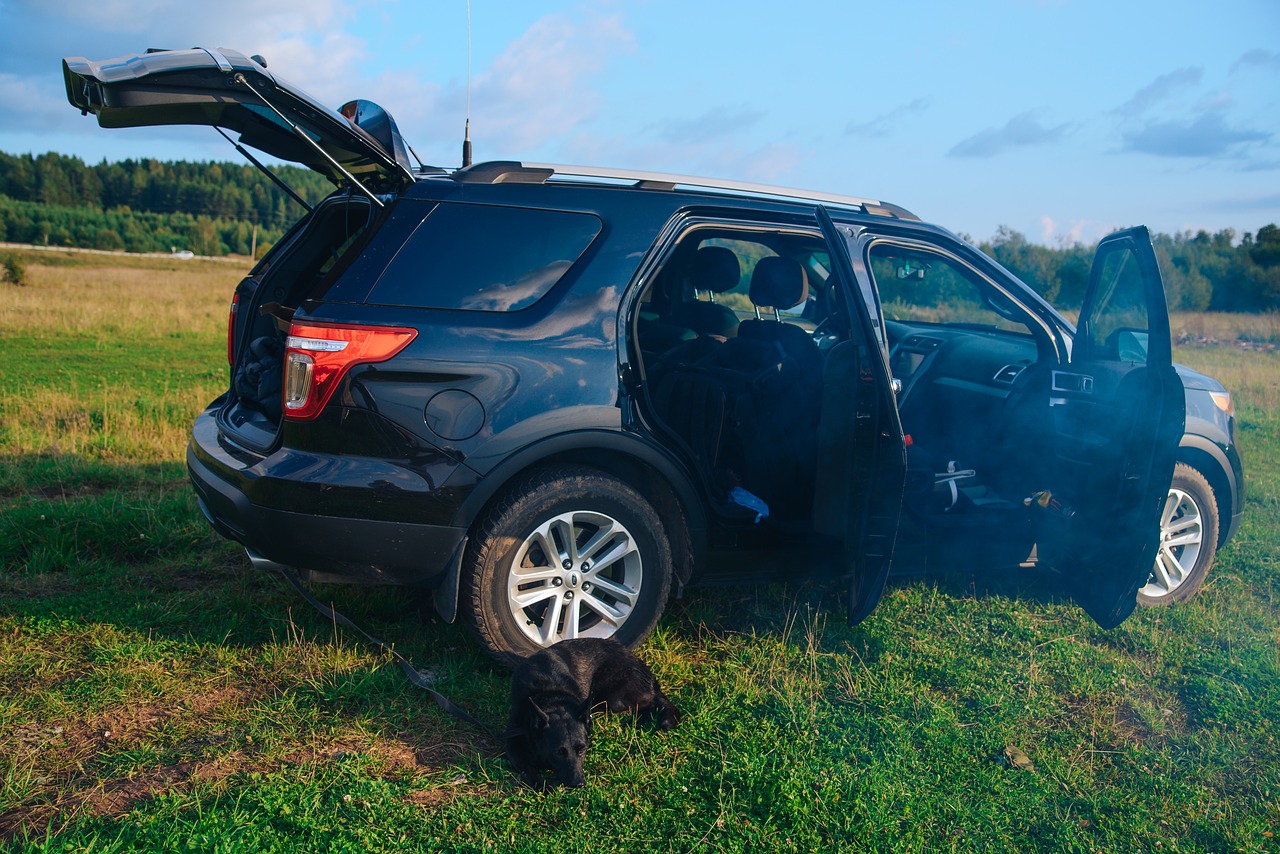 Ford Explorer I Gebrauchtwagen