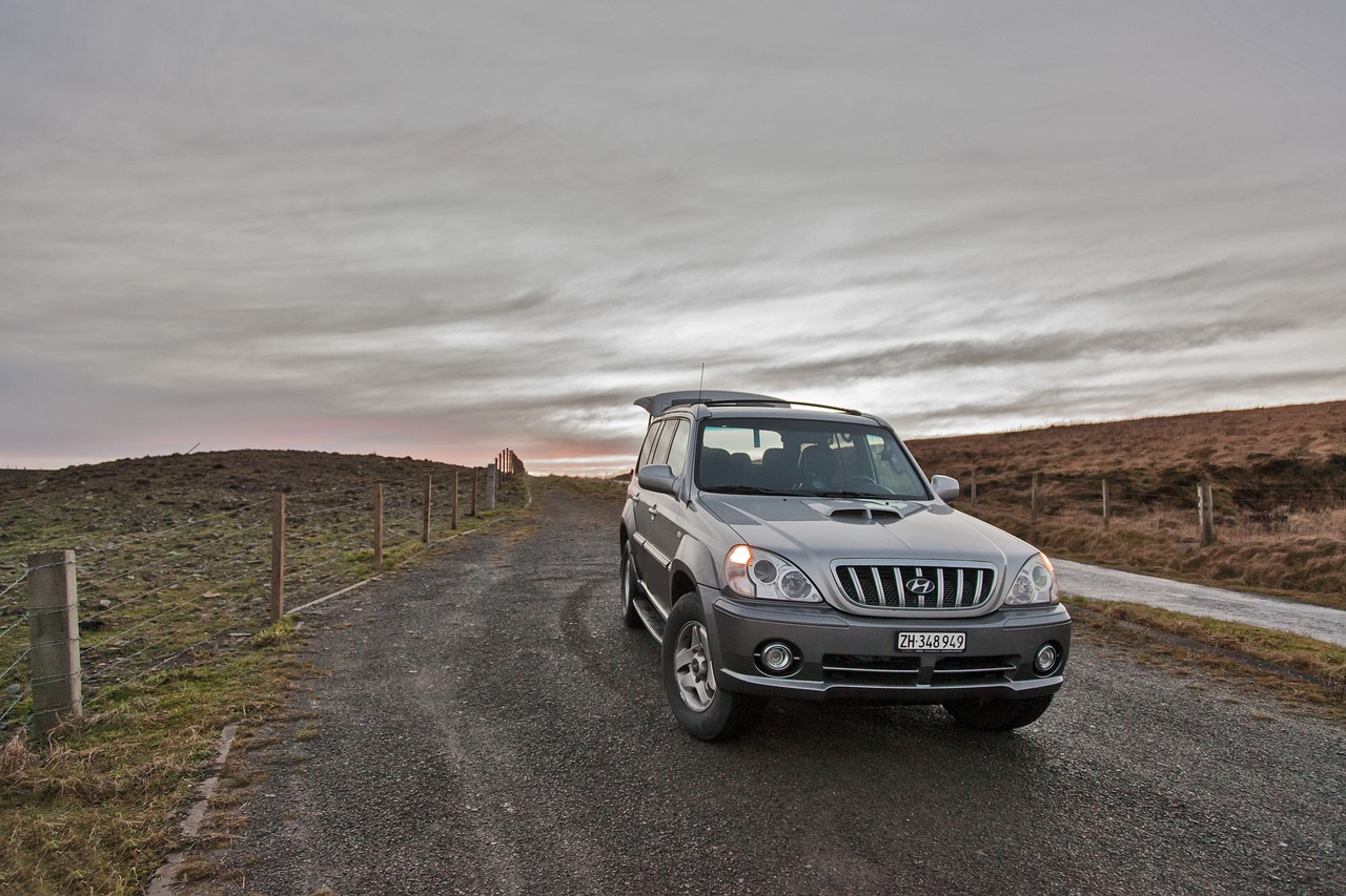 Hyundai Terracan Gebrauchtwagen