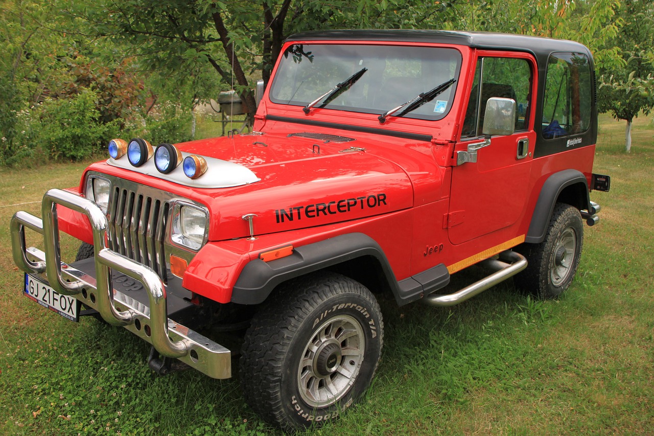 Jeep Wrangler TJ Gebrauchtwagen