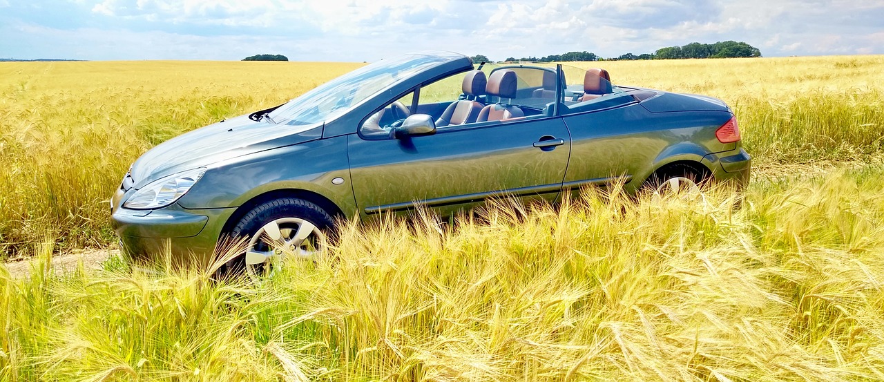 Peugeot 307 Gebrauchtwagen