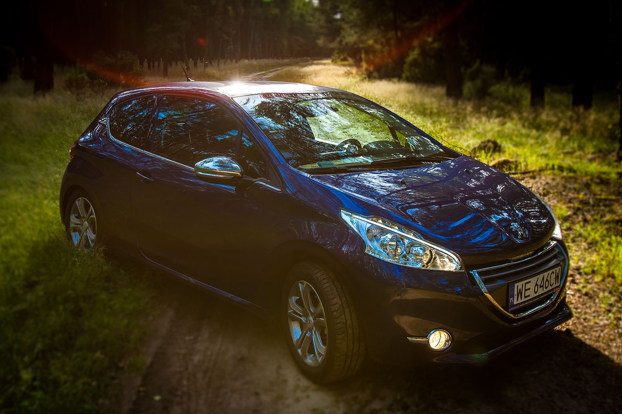 Peugeot 208 Gebrauchtwagen