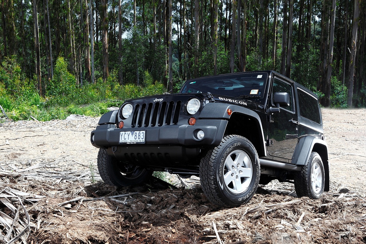 Jeep Wrangler YJ Gebrauchtwagen