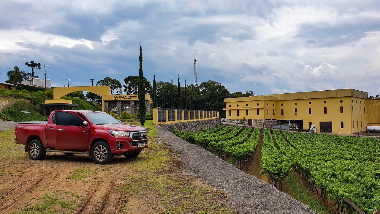 Toyota Hilux Gebrauchtwagen